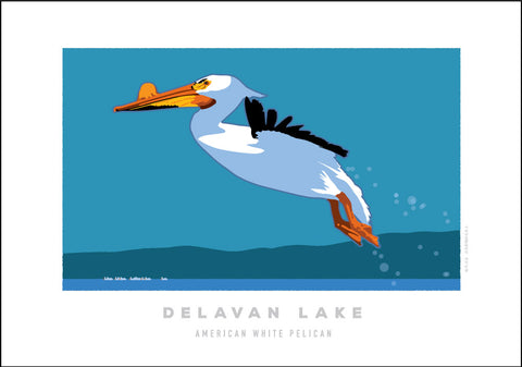 0 01 American White Pelican / Delavan Lake