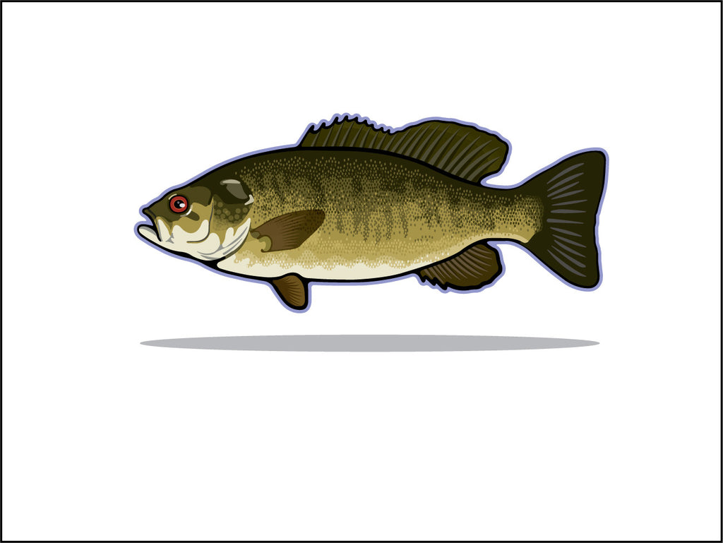 000 Small Mouth Bass