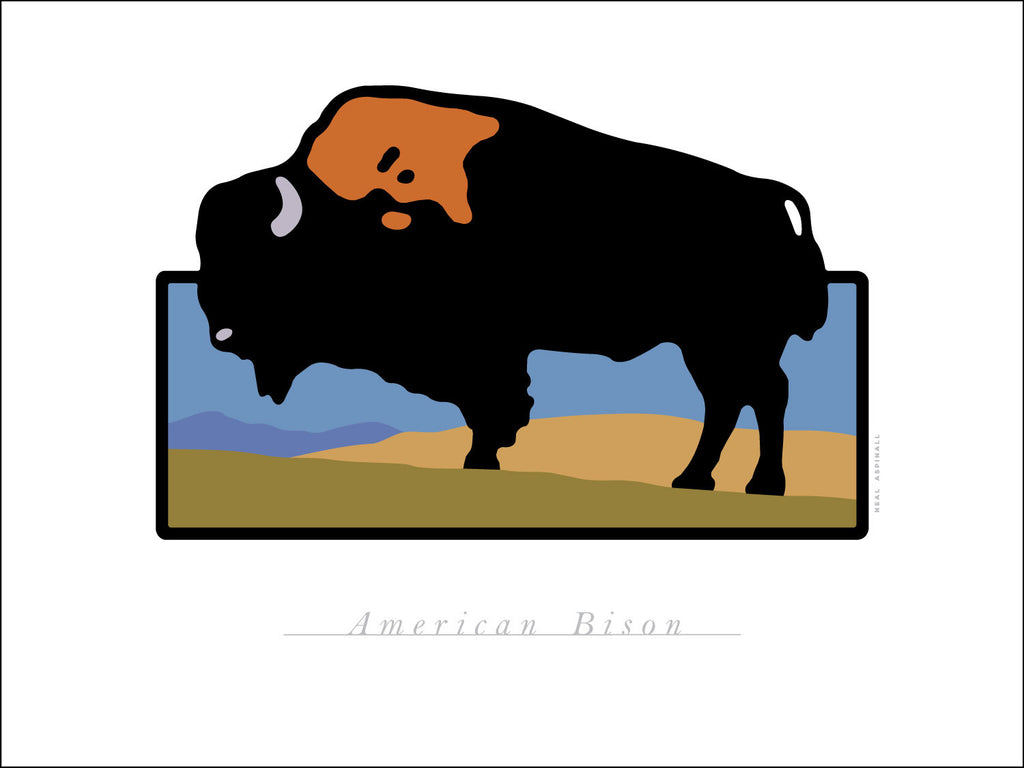 B.American Bison Digital Studio Print